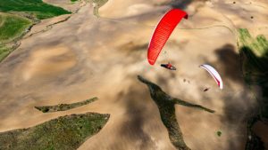 Gin-Gliders-Leopard-07