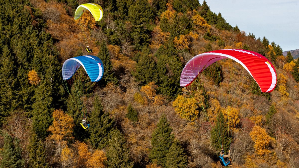 AirDesign-Eazy-4-08.jpg